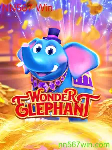 Descubra as Aventuras de WonderElephant: Regras e Tudo que Você Precisa Saber